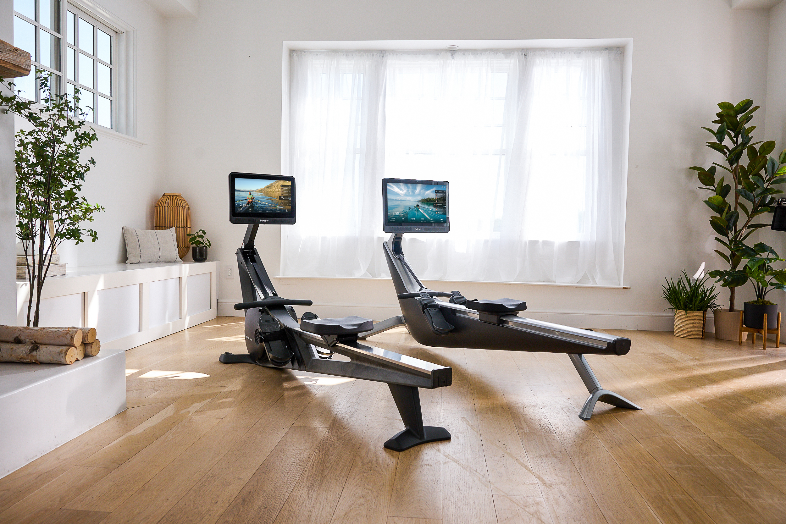 Fitness & Gym