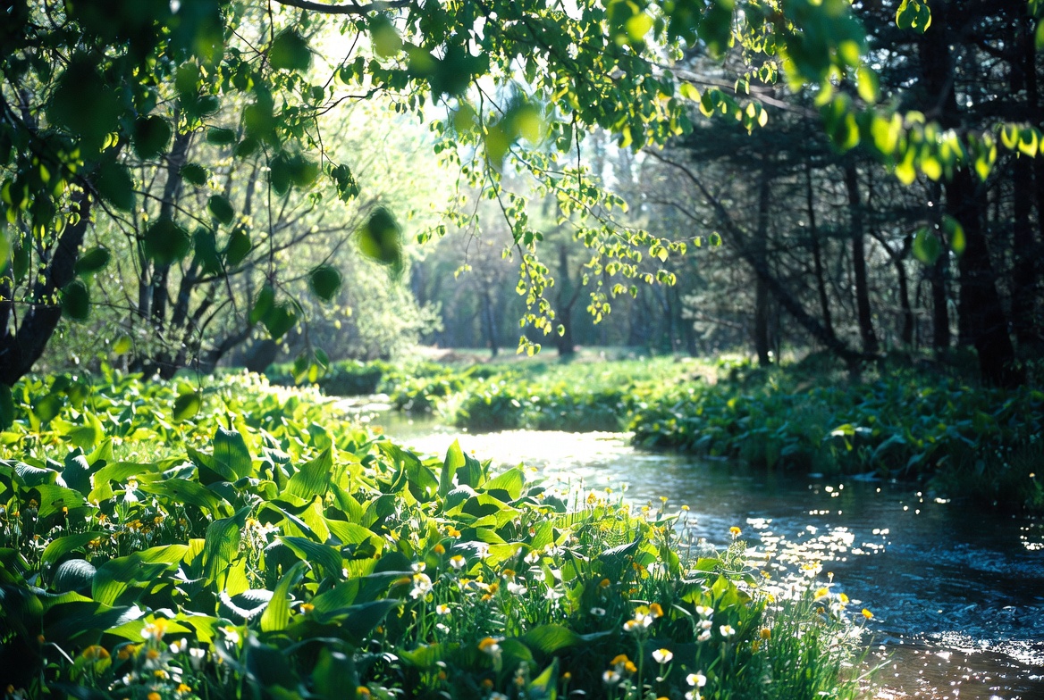 Outdoor & Recreation